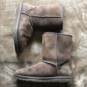 Classic short Chocolate uggs